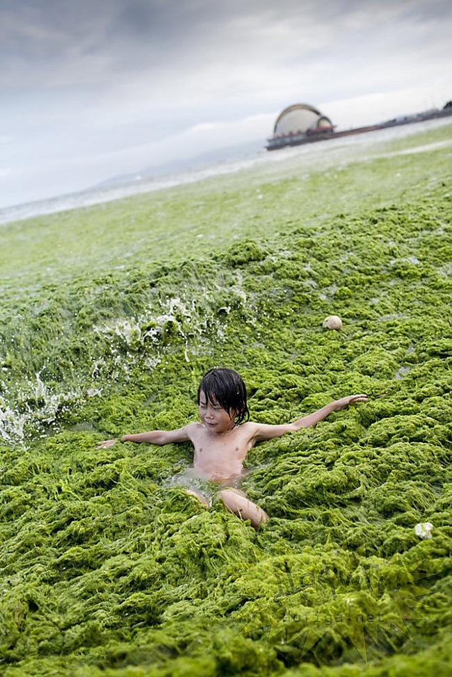  Autors: pofig Tikmēr Ķīnas pludmalē
