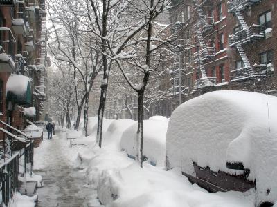Sniega izvešana no NewYorkas... Autors: Fosilija Mežonīgie fakti