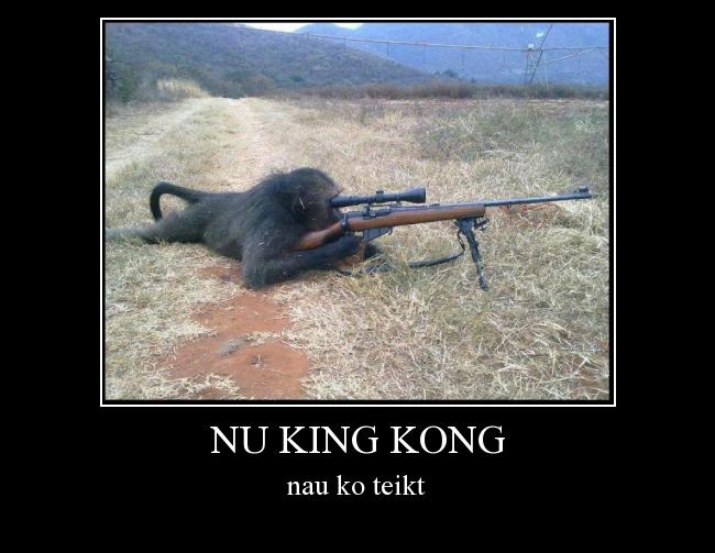  Autors: chumaziks nu king kong