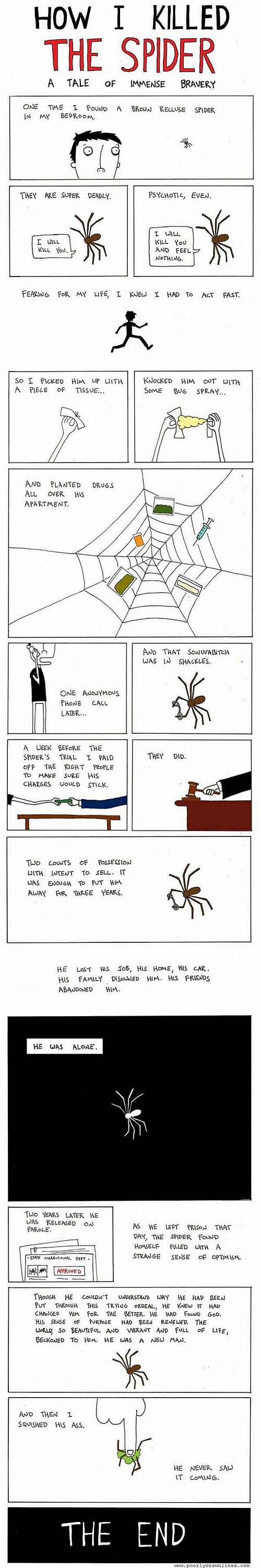  Autors: pofig Kā es nogalināju zirnekli?