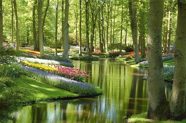 Keukenhof Gardens  Netherlands Autors: abols1 Bildes kas jāredz