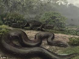 Ogļu raktuvēs Kolumbja atrasta... Autors: FoxxH Milzu čūska bija autobusa garumā.