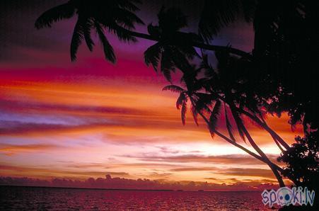  Autors: KaliZs Tokelau sala- būtu bijusi pati skaistākā valsts pasaulē!