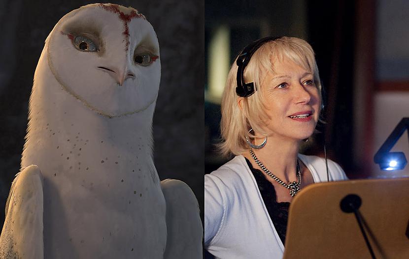  Nyra  Helen Mirren Helēna... Autors: este1 Legend of the Guardians: The Owls of Ga'Hoole