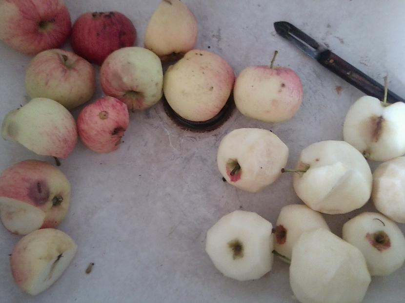 Izvēlētos ābolus nomazgā... Autors: Ayaa Kā es pirmoreiz...