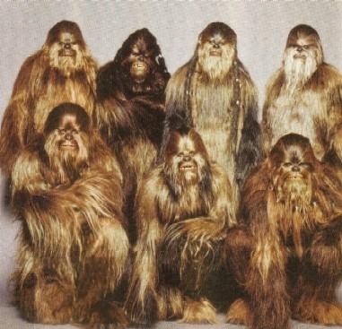 WookieeWookiees ir... Autors: Misuri Zvaigžņu karu rases!(dažas)