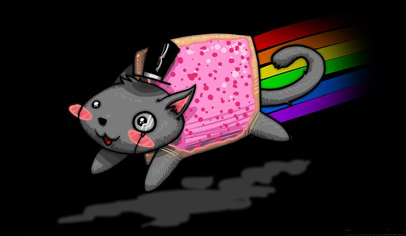 Real Life Nyan Cat.