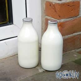 Piena burka Autors: Fosilija Gulbenē vēlētājus dzirda ar pienu.