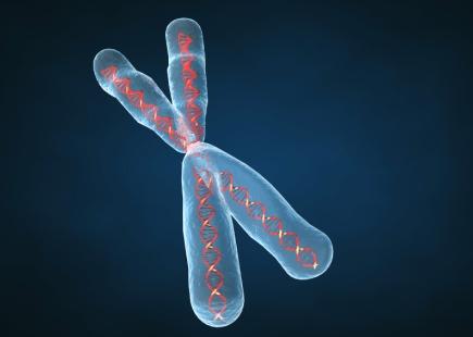 Cilvēkam ir 23 hromosomas no... Autors: elements Ko Tu nezināji par skaitli 23?