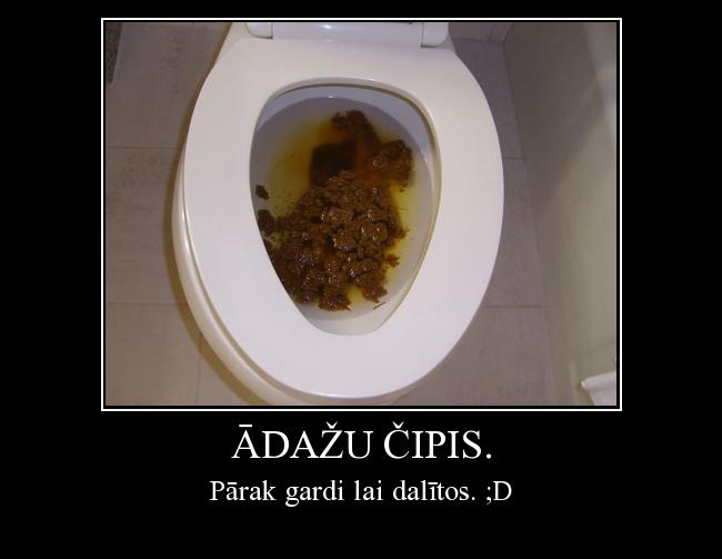  Autors: Ženādijs Ādažu čipis.