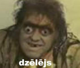 dzēlējs Autors: ORGAZMO ko spoki iznestu no degošas mājas?