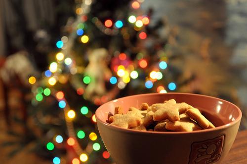  Autors: dirteechocolate just can't wait for christmas