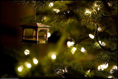  Autors: brigitta13 Christmas time ♥