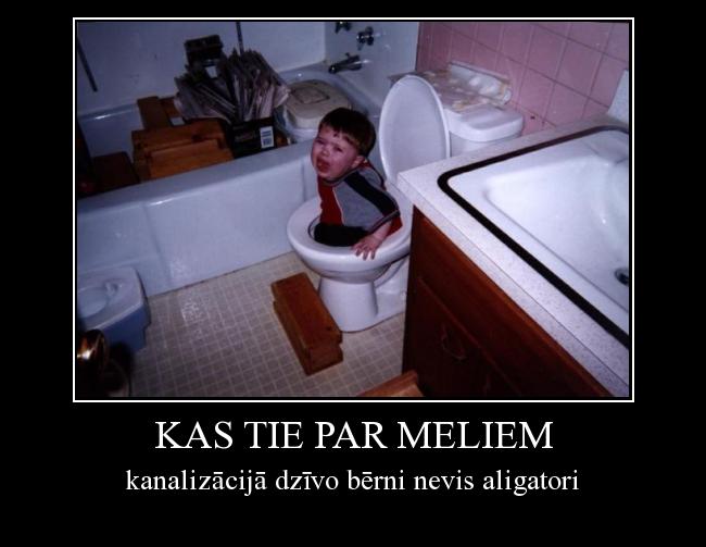  Autors: Fosilija kas tie par meliem