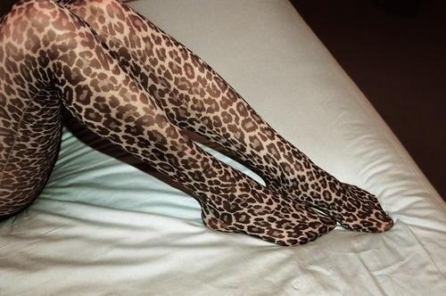  Autors: betinjaa19 Tur kur leopards. ;]