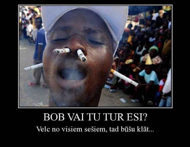  Autors: Sandisx3x Bob vai tu tur esi?