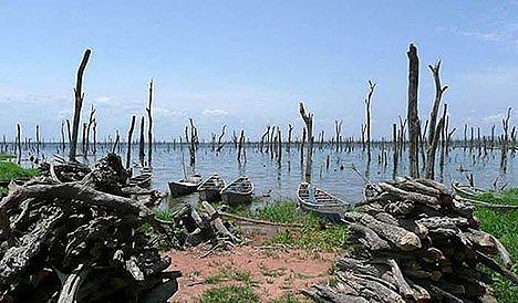 Lake Volta GanāLielākā... Autors: Fosilija Nogrimušie meži