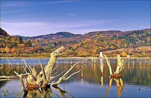 Lake Bezid RumānijāEzers... Autors: Fosilija Nogrimušie meži