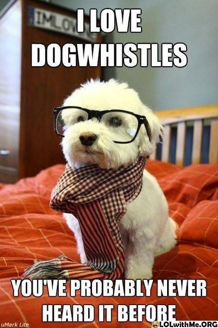 Hipster Dog Autors: Kuraudo Best 2011 memes + daži komiksi