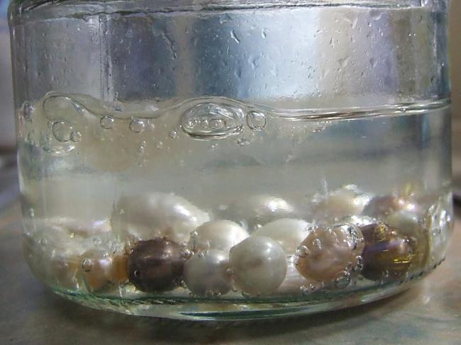 pērles kūst etiķī Autors: LVhippy Trakie Fakti