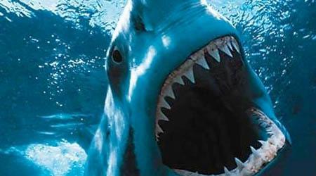 Tikt apēstam no haizivs... Autors: Fosilija Briesmīgi veidi kā nomirt!