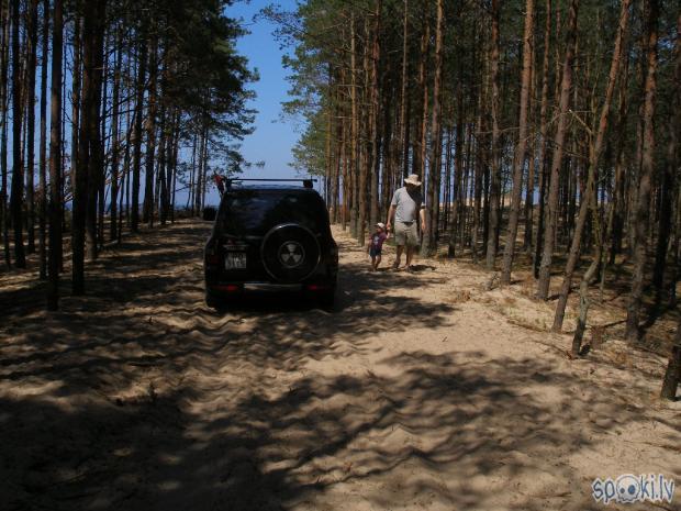  Autors: plutons Svētdienas pastaiga gar Gaujas krastu līdz ietekai jūrā.