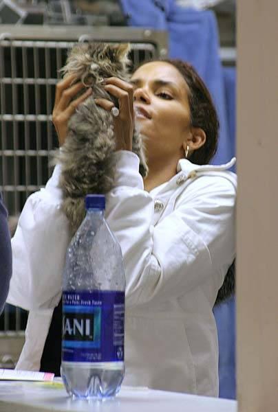 Aktrise Hale Berija savu... Autors: Hamsters1 Slavenības un viņu kaķi.