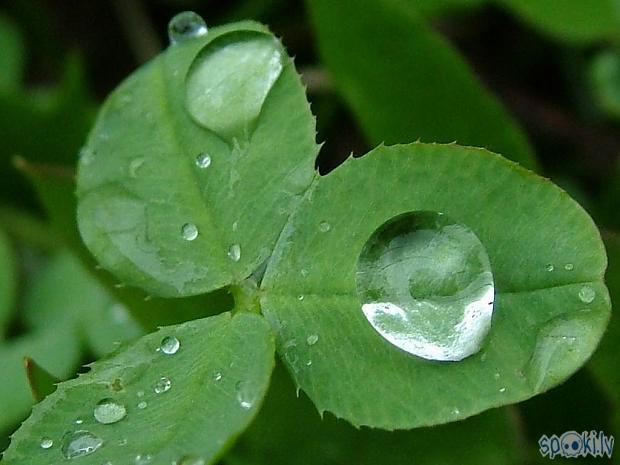  Autors: SandruciS Lietus..