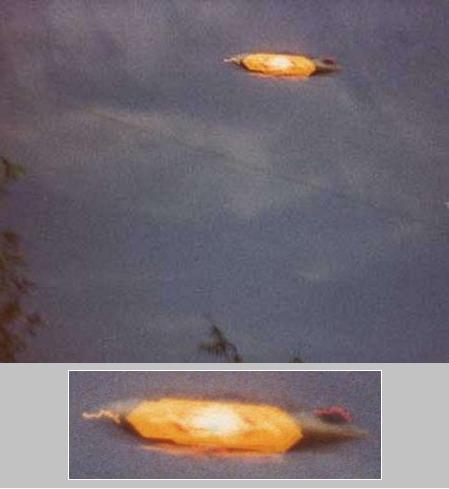  Autors: posts UFO Photographs 1910-2008