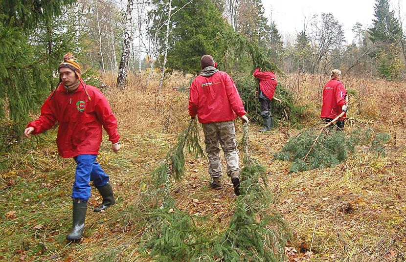 wwwizglabsimlv Autors: Izglabsim FOTO: Atdod saules gaismu Strēļu svētozolam