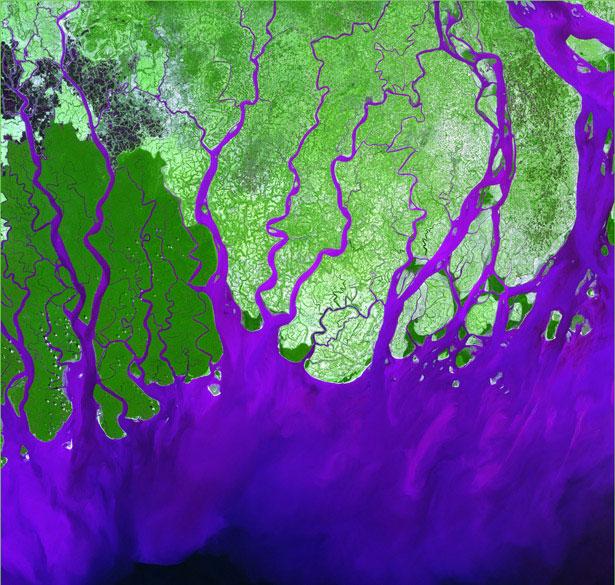 Ganges River Delta  The Ganges... Autors: Samaara Zeme no satelīta.