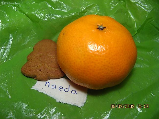 xxx Autors: NAEDA piparkūkegle & mandarīns