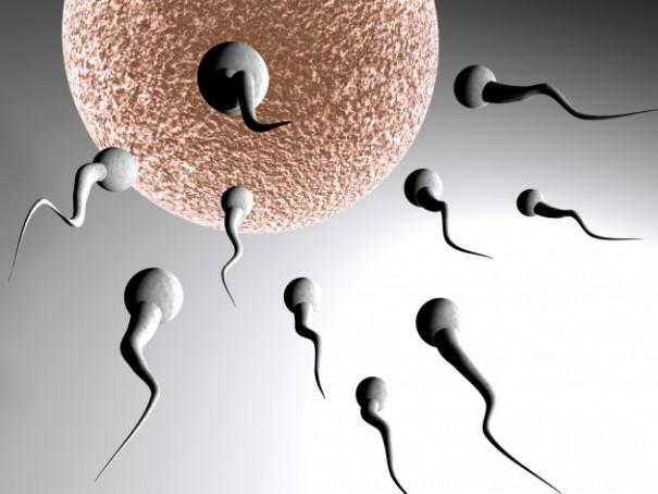  Autors: nomadaa Popuārākie mīti par vīrieša spermu
