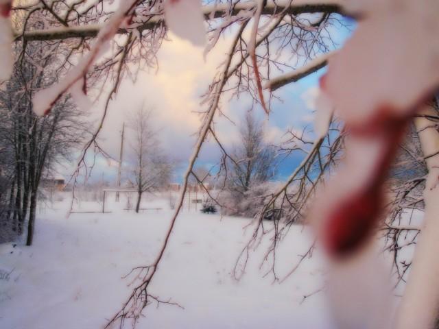  Autors: pekoneens Pagajusa gada ziema manas bildes.