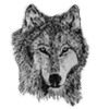 Grey Wolf avatars
