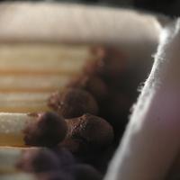 Serkociņi ar šķuningotu homemade makro lēcu