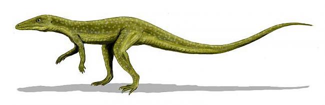 Saltoposukus lēkājoscaronais... Autors: adlere No kā ir izcēlies mūsdienu krokodils - aizvēstures monst
