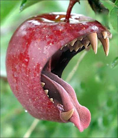 Ja blakus ir nokritis ābols... Autors: Agii67 Interesanti izteicieni!! :)