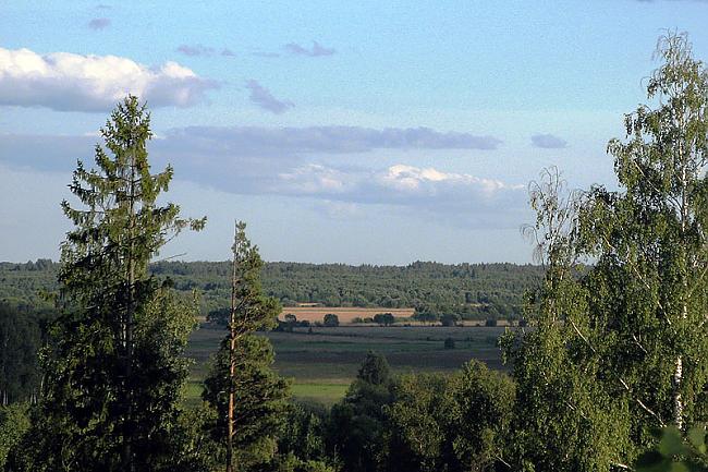  Autors: Fosilija Latvijas Daba