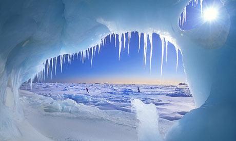 1Ja izskustu viss Antarktīdas... Autors: TheTonkp666 Fakti par Antarktiku!