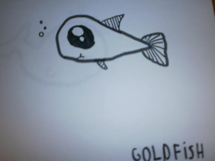 Zeltazivtiņa Autors: Fosilija Mani zīmējumi :o