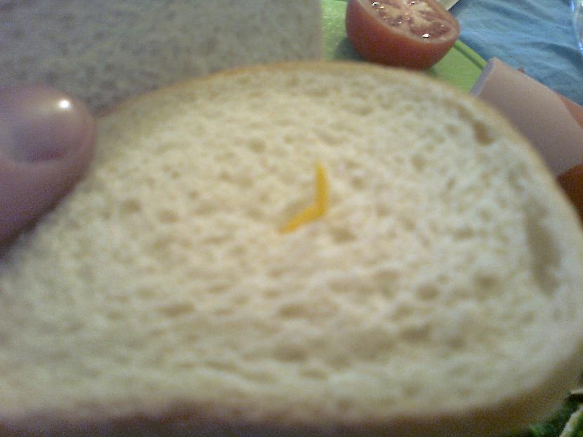  Autors: bite7 Ko es atradu maizē?