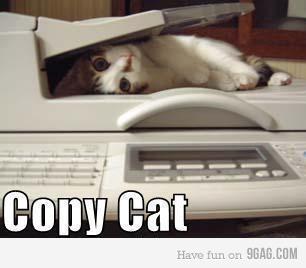 Copy catisnt it Autors: Jim Komiksi[netlukoti]#13