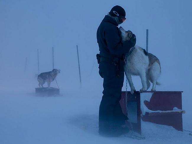 Saimnieks ar suņiem Grenlandē Autors: Franziskaner Labākās marta fotogrāfijas