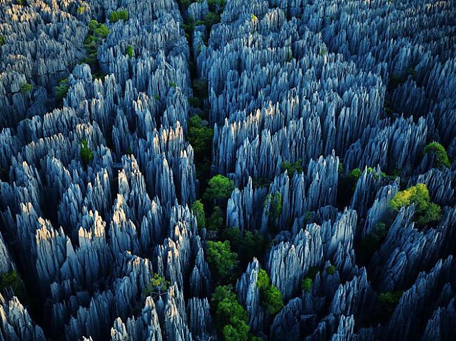 Akmens džungļi Madagaskarā Autors: Franziskaner Labākās marta fotogrāfijas