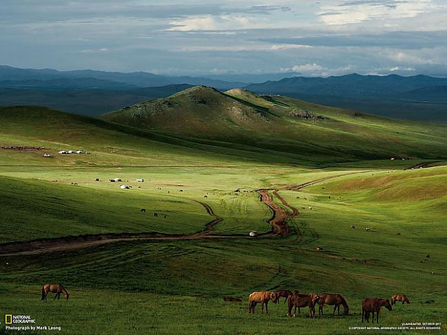 Zirgi Mongolijas stepēs Autors: Franziskaner Labākās marta fotogrāfijas