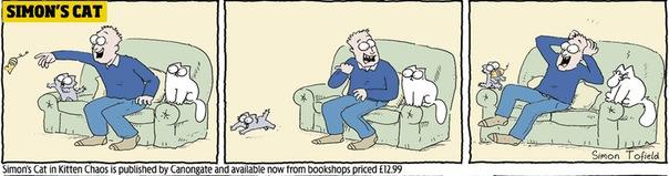  Autors: Benders03 simon's cat in kitten chaos