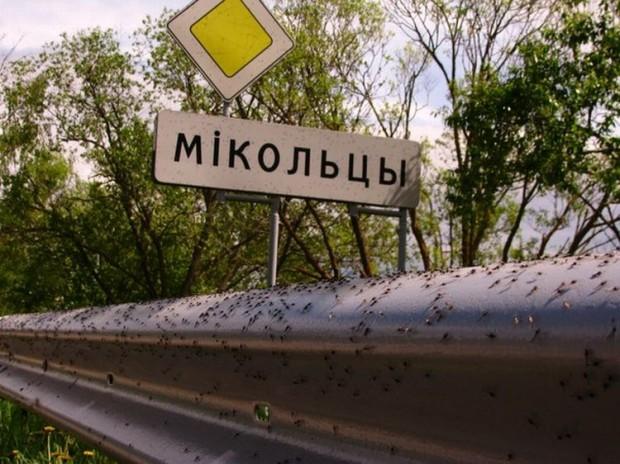  Autors: kapeika Odu uzbrukums Baltkrievijas ciematam.