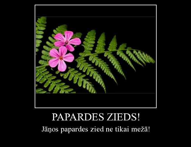  Autors: eshan Papardes zieds!