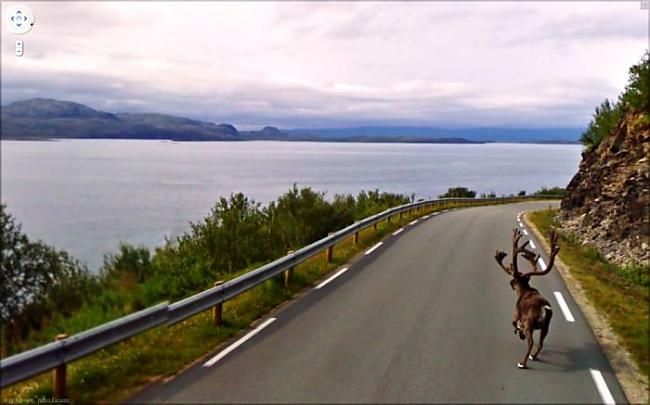  Autors: NewDZERA Dīvainās bildes no Google Street View !!!